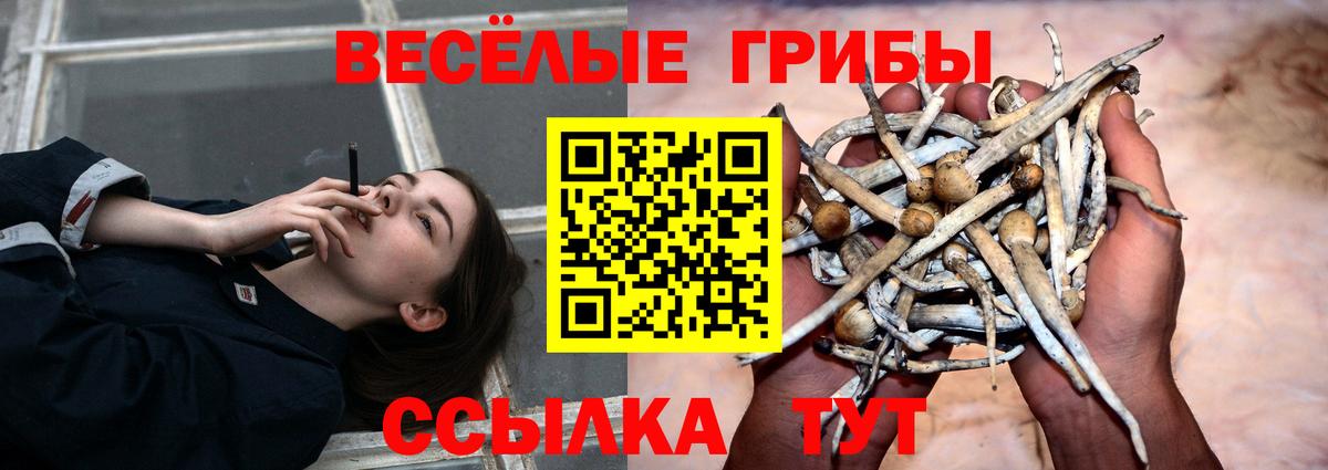Псилоцибиновые грибы мицелий  Галлюциногенные грибы Cubensis  Вход с VPN  Мыски 